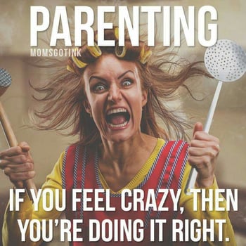 Meme of crazy parent with the text: Parenting – if you feel crazy, then you're doing it right.
