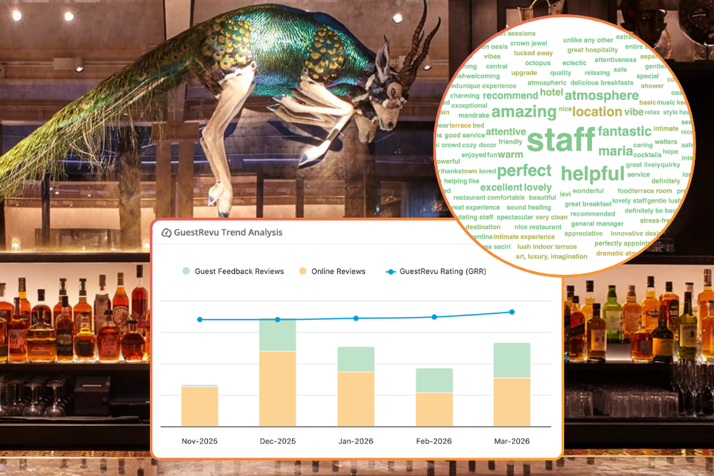 Mandrake-case-study-1