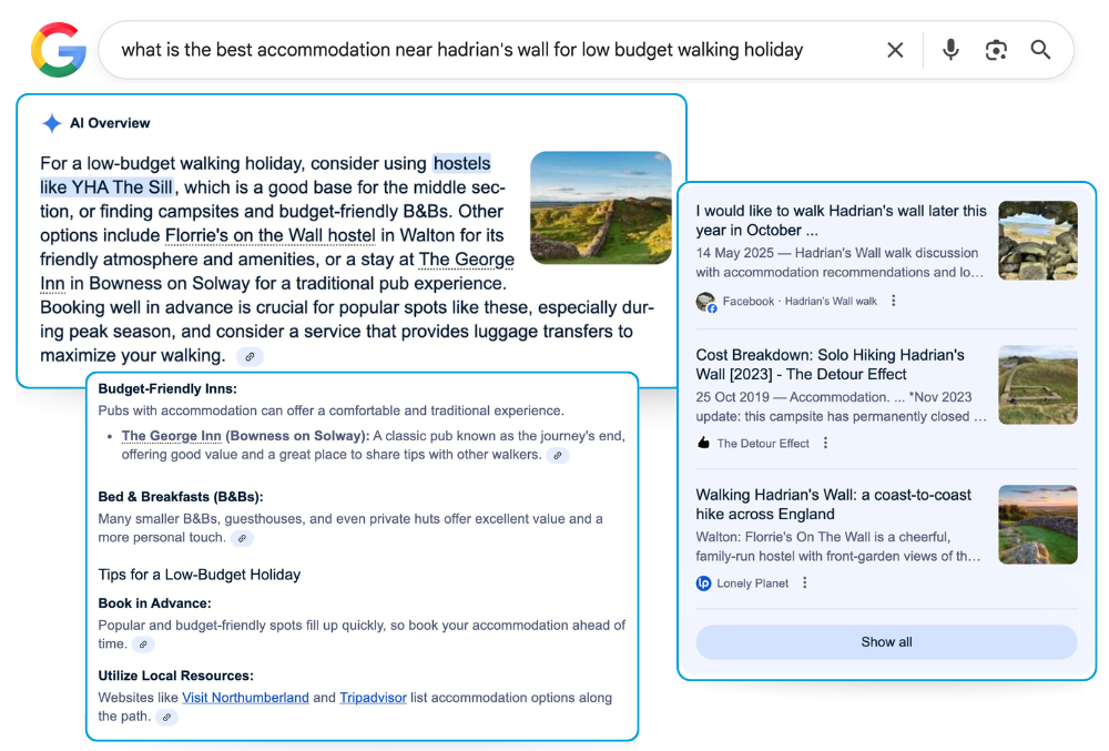 google AI overviews in search results