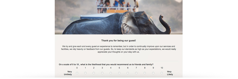 questionnaire-example-tour-operator.png